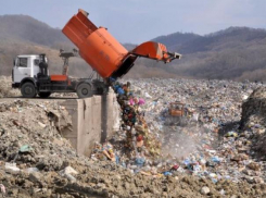 Владельцы свалки, травивший волжан едким дымом от пожара, судятся с мэрией за 113 миллионов 
