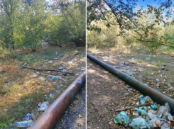 Волжская администрация потратить 9 миллионов на ликвидацию свалок