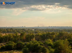 Запрет на пребывание волжан в лесах продлен до 2 сентября