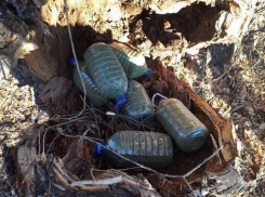 В Волжском драгдилер выдал тайник с шестью пятилитровыми бутылями марихуаны