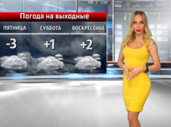 От холода завоешь по-собачьи! Все о погоде в Волжском в День животных