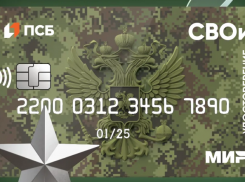  Волжане могут получить электронные удостоверения ветерана боевых действий