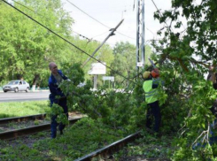  Упавшее из-за шторма дерево парализовало движение в Волжском