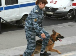 В Волжской исправительной колонии №12 взрывчатку не нашли