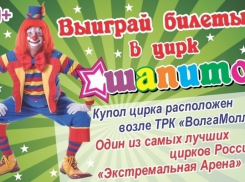 Бесплатные билеты в цирк-шапито «Экстрим-Арена» ждут активных волжан 