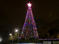 Волжский украсят 6 больших елок