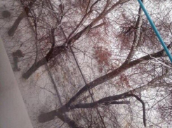 В Волжском из окна выпал мужчина