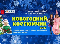«Блокнот Волжского» объявляет конкурс для детей «Новогодний костюмчик-2017»
