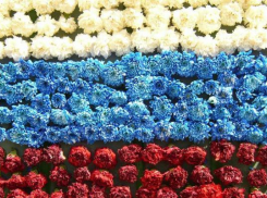 День России в Волжском будет многонациональным и спортивным