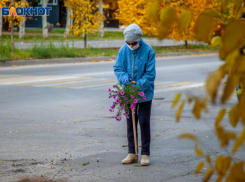 Волжские семьи охотнее берут под опеку одиноких жителей
