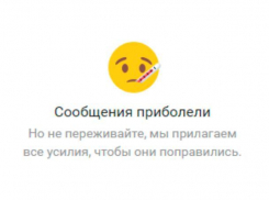 Виртуальная жизнь волжан временно приостановилась