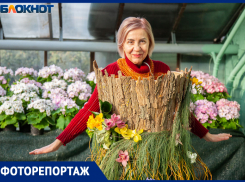 Открытие выставки первоцветов в Волжском: фоторепортаж 