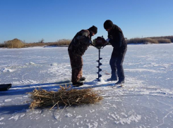 В Волгоградской области спасают рыбу от кислородного голодания