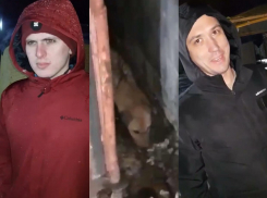 «У пацана день рождения, а он собаку спасает»: волжане освободили пса, застрявшего между контейнерами