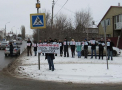 В Волжском провели флешмоб для привлечения внимания на дорогах