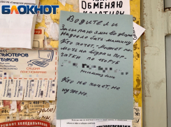 Устал разбивать машину: волжанин вышел на ремонт внутриквартальной дороги