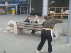 Агрессивно настроенный воробей пытался «отжать» еду у волжанки: видео