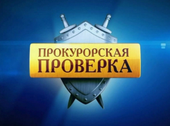 В Волгоградской области чиновников поймали на незаконной деятельности