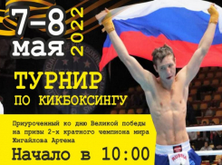Битва сильнейших: в Волжском состоится турнир по кикбоксингу