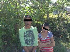 Волгоградские полицейские задержали похитителей старинных икон