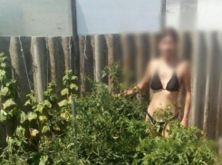 Насиловала сына на видео и продавала порно: волгоградке выдвинули еще одно обвинение