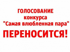 «Блокнот Волжского» вынужден перенести голосование конкурса «Самая влюбленная пара»
