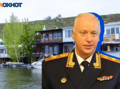 Глава СК РФ Бастрыкин взял на контроль расследования мошенничества в волжском СНТ