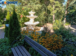 Солнце ожидает волжан в воскресенье: прогноз погоды