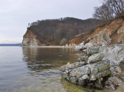 На пустыре рядом с берегом Волги нашли расчлененное тело мужчины