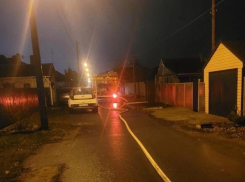Пони сгорела в пожаре в Волжском