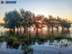 В Волгоградской области начали обработку водоемов от личинок комара