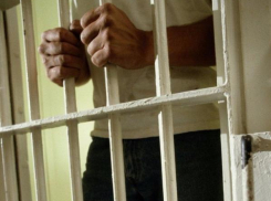 Волжанин проведет почти 10 лет в колонии строгого режима за сбыт метилэфедрона