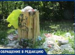 «Половина сквера в грязи»: волжанка о выборочной уборке улиц