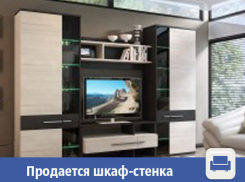 В Волжском продается вместительный шкаф-стенка
