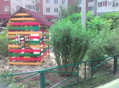 Волжский конкурс на «Лучший благоустроенный двор» продолжается