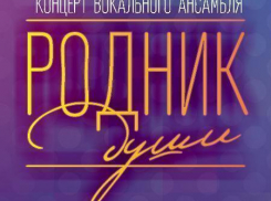 Волжан приглашают на «Родник души»