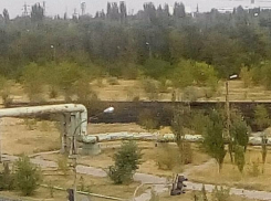 Пустырь рядом с оживленной дорогой снова горел в Волжском