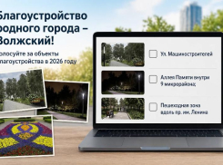 Выбери будущее своего города