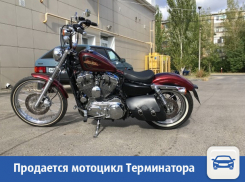 Мотоцикл Терминатора предложил волжанам