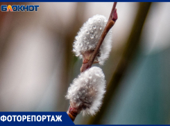 Природа Волжского игнорирует капризы погоды