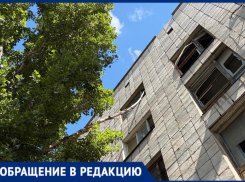 «Ветка может рухнуть в любой момент»: жители общежития на Горького, 3 просят о помощи