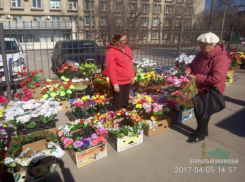 Торговцев, заполонивших улицы нелегальными цветами, оштрафовали в Волжском