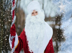 Топ-5 фактов о Новом Годе, о которых волжане не знали