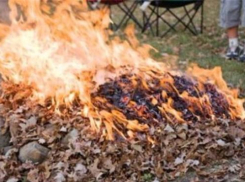 В Волжском запрещено сжигать мусор и разводить костры