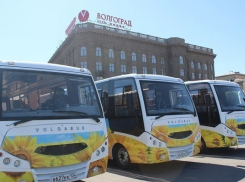 Новые автобусы выйдут на пять волжских маршрутов