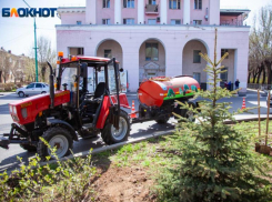 В детском ботаническом саду в Волжском проведут водопровод
