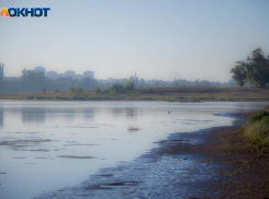 В Волжском приостановили отбор подрядчика на расчистку русла Ахтубы из-за жалобы