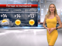 Приятная для недотрог погода будет в Волжском на выходных