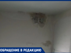 «Штукатурка сыпется со стены»: в Волжском жильцы МКД показали последствия двухлетнего бездействия коммунальщиков