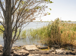 Четверг сохранит жару